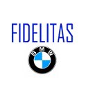 TARGA FLORIO - 10 GIRO DI SICILIA 1950 - FIDELITAS BMW
